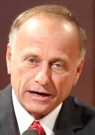 Steve King mug